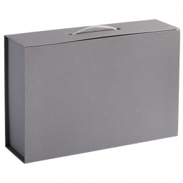 Коробка Case, серебристая
