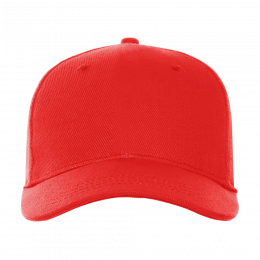 Бейсболка STAN 5 клиньев хлопок 330, 01