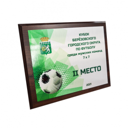 Плакетка с цветной печатью на металле 16,5х11,5